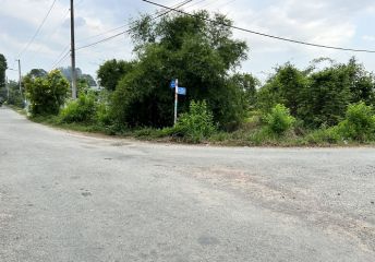 Đất 2 mặt tiền đường Nguyễn Thị Dây ,Tân Thạnh Tây, diện tích 9.864m, full thổ giá 91 tỷ.